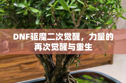 力量的再次觉醒与重生图片