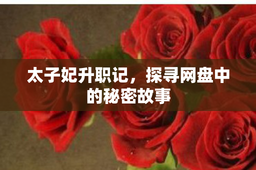 探寻网盘中的秘密故事图片