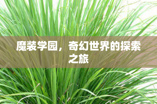奇幻世界的探索之旅图片