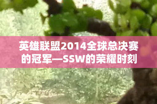 英雄联盟2014全球总决赛的冠军图片