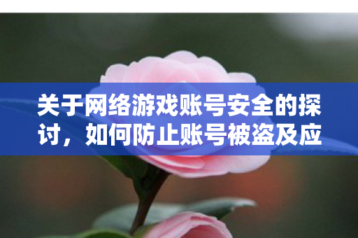 关于网络游戏账号安全的探讨图片