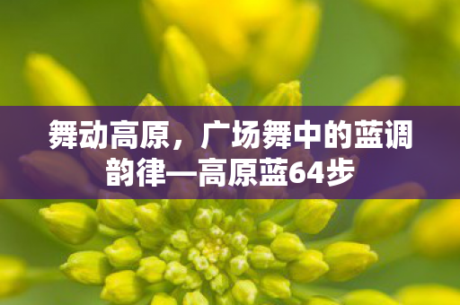 广场舞中的蓝调韵律图片