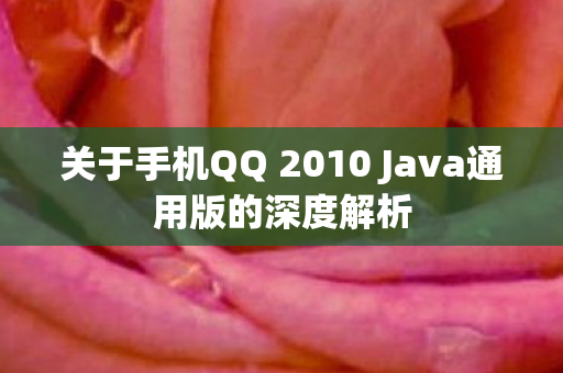 关于手机QQ 2010 Java通用版的深度解析图片