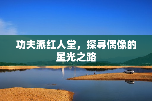 探寻偶像的星光之路图片