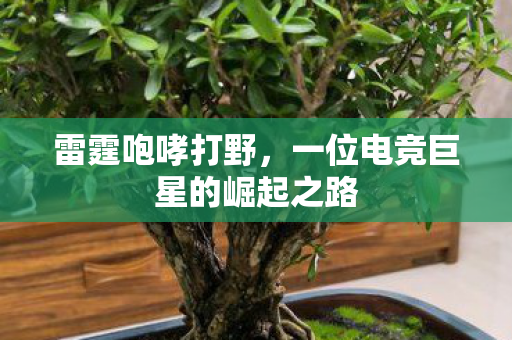 一位电竞巨星的崛起之路图片