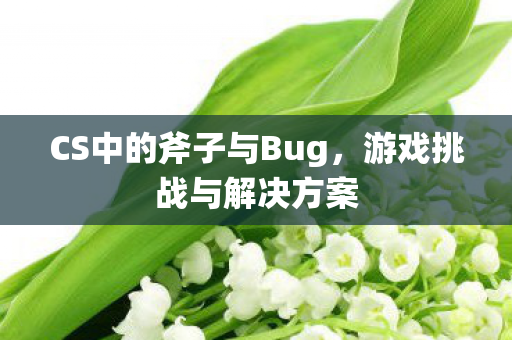 CS中的斧子与Bug图片