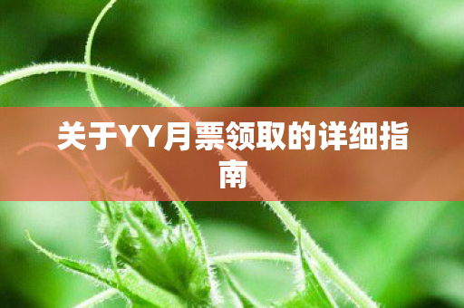 关于YY月票领取的详细指南图片