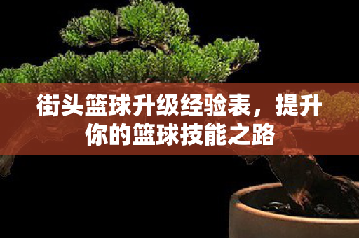 提升你的篮球技能之路图片