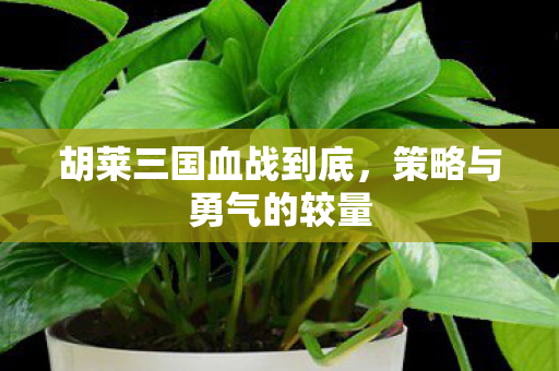 胡莱三国血战到底图片