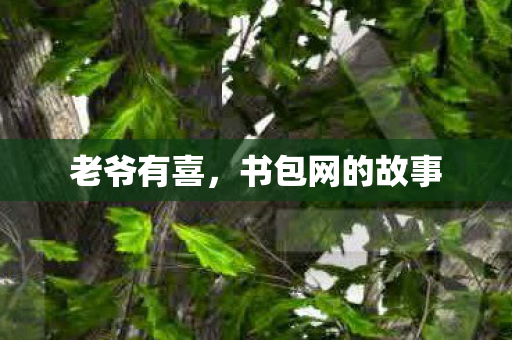 书包网的故事图片