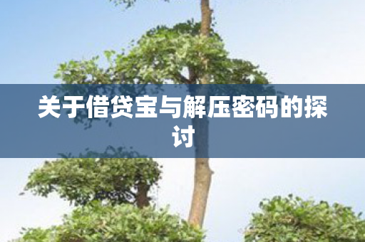 关于借贷宝与解压密码的探讨图片