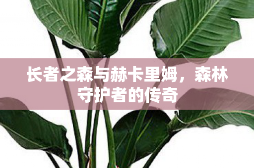 长者之森与赫卡里姆图片