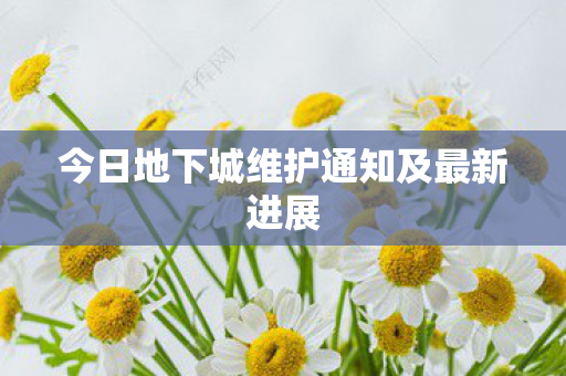今日地下城维护通知及最新进展图片