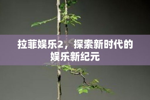 探索新时代的娱乐新纪元图片