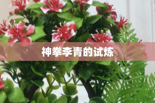 神拳李青的试炼图片