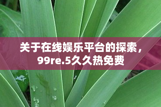 关于在线娱乐平台的探索图片