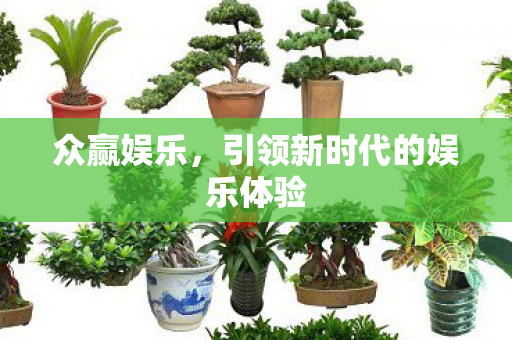 引领新时代的娱乐体验图片
