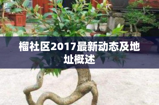 榴社区2017最新动态及地址概述图片