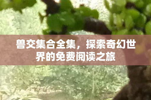 探索奇幻世界的免费阅读之旅图片