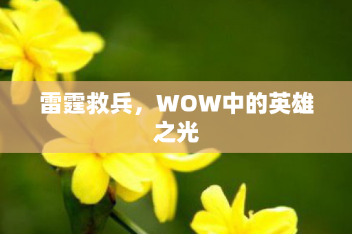 WOW中的英雄之光图片