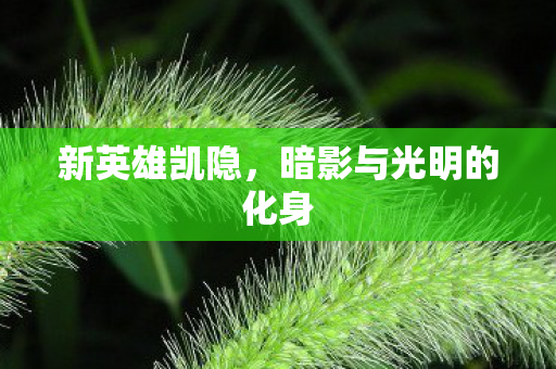 暗影与光明的化身图片