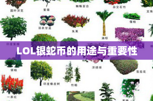 LOL银蛇币的用途与重要性图片