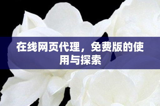 免费版的使用与探索图片