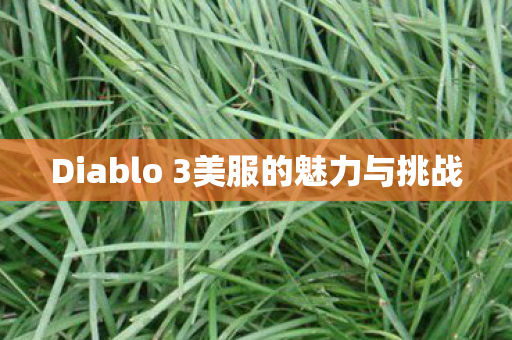 Diablo 3美服的魅力与挑战图片