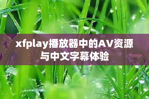 xfplay播放器中的AV资源与中文字幕体验图片
