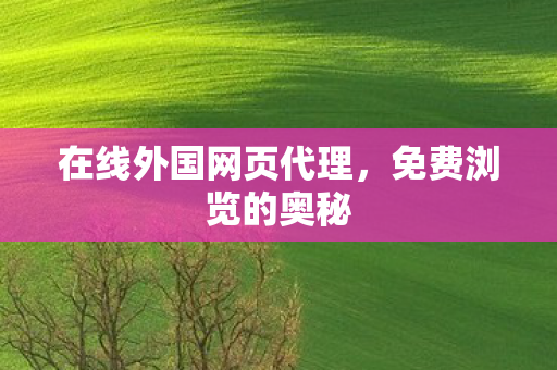 在线外国网页代理图片