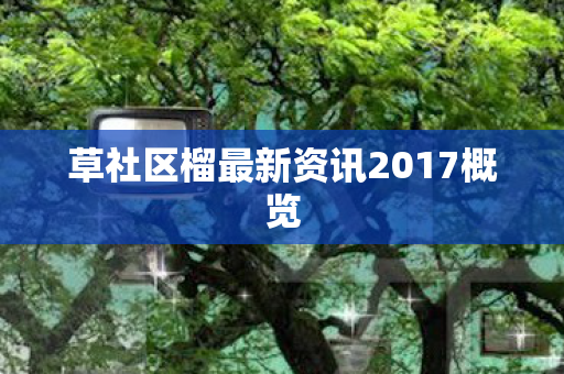 草社区榴最新资讯2017概览图片