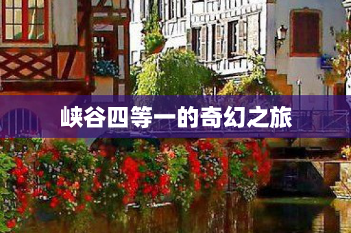 峡谷四等一的奇幻之旅图片