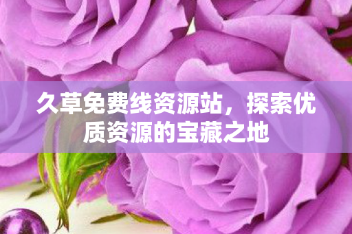 探索优质资源的宝藏之地图片
