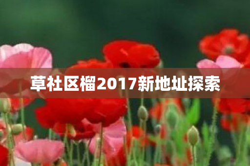 草社区榴2017新地址探索图片