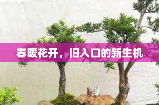 旧入口的新生机图片