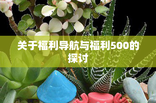 关于福利导航与福利500的探讨图片