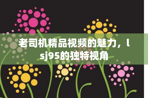 老司机精品视频的魅力图片