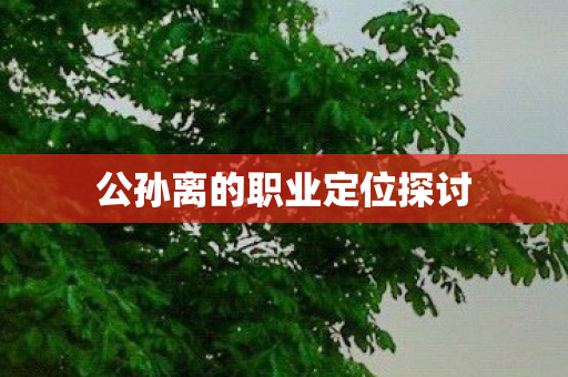 公孙离的职业定位探讨图片