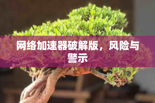 网络加速器破解版图片