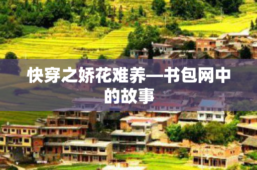 快穿之娇花难养图片