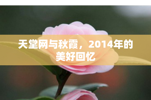 2014年的美好回忆图片