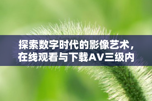 在线观看与下载AV三级内容的新视角图片