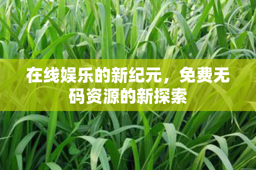 免费无码资源的新探索图片