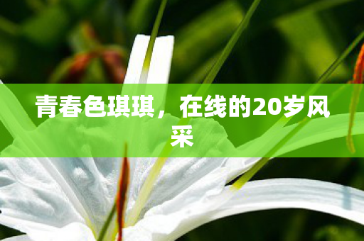 在线的20岁风采图片