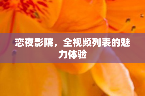 全视频列表的魅力体验图片