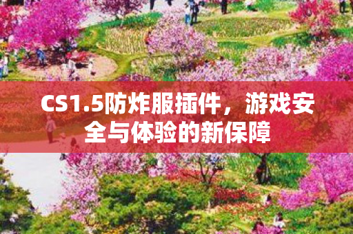 游戏安全与体验的新保障图片