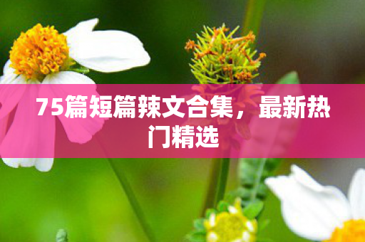 75篇短篇辣文合集图片