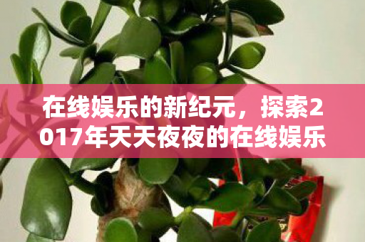 探索2017年天天夜夜的在线娱乐世界图片