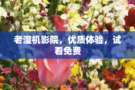 老湿机影院图片