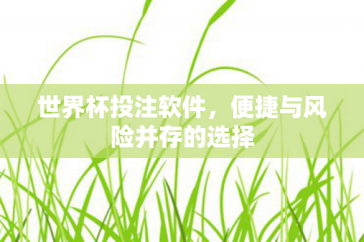便捷与风险并存的选择图片